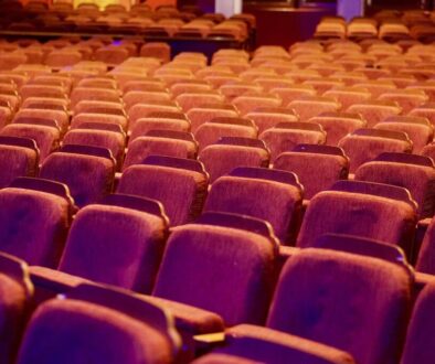 auditorium theatre seats rows 3514584